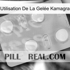Utilisation De La Gelée Kamagra 24